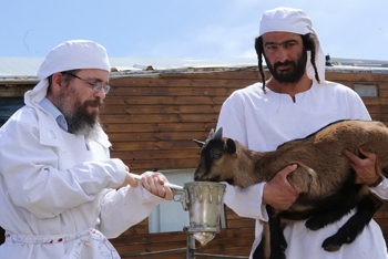 האגודה לטיפוח מורשת יהדות תימן